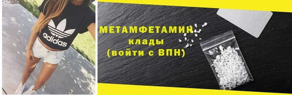 сатива Козловка