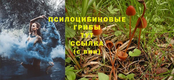 шишки Алексин