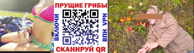 MEGA зеркало  Рассказово  Псилоцибиновые грибы Psilocybine cubensis 